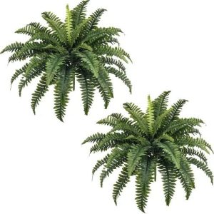 Artificial Hanging Fern Set