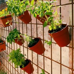 Wall Mounted Pot Grill System